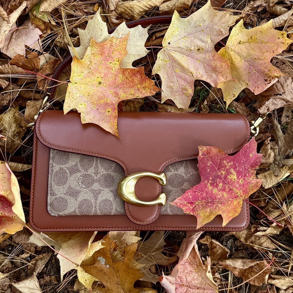 Coach Brown Tabby 26 Bag